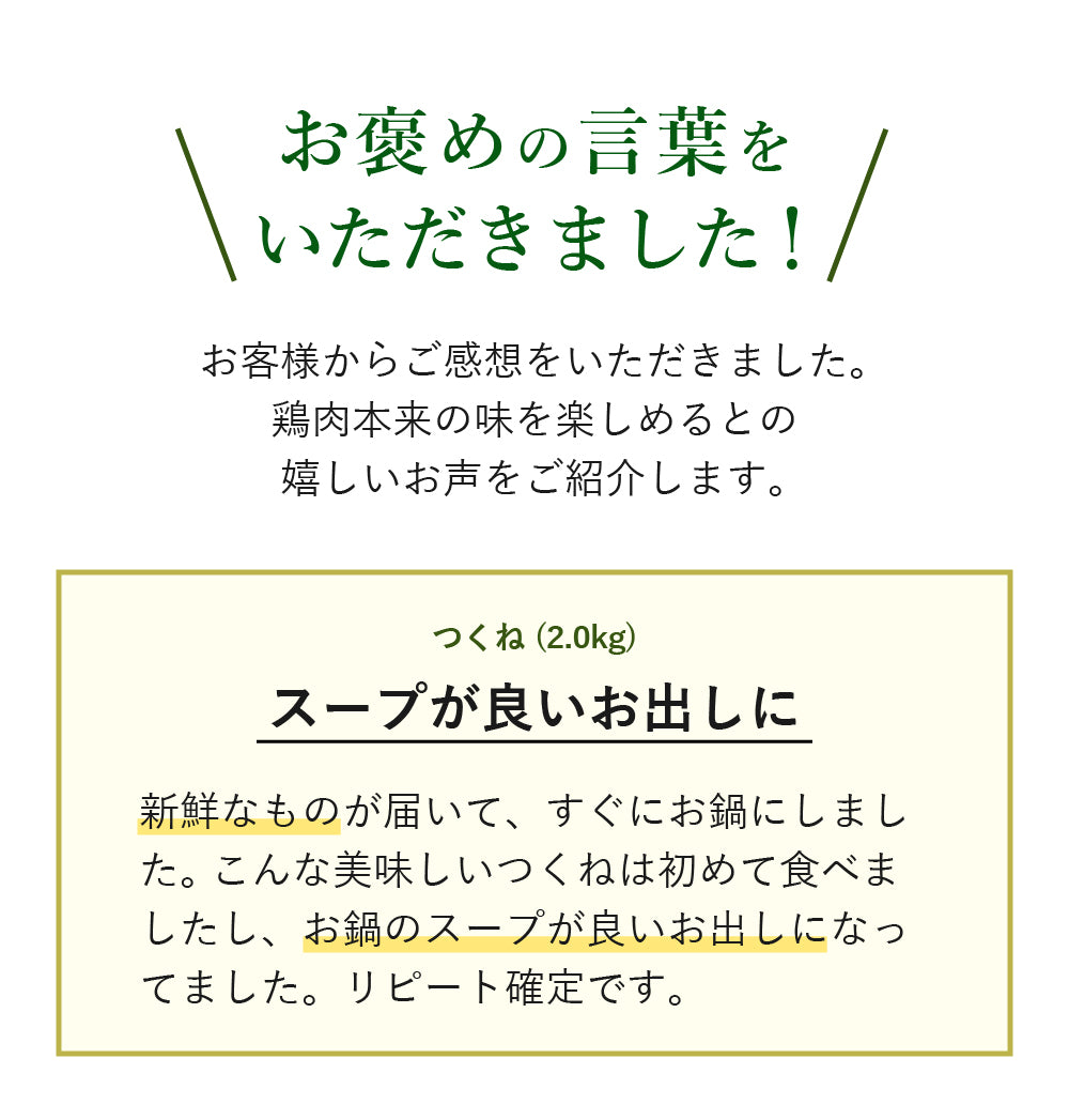 【ミンチ】鶏つくね (鶏つみれ)