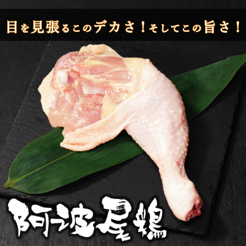 【もも肉】阿波尾鶏 骨付きもも