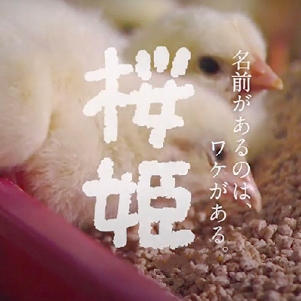 【もも肉】桜姫鶏 もも肉