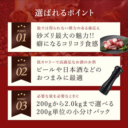 炭火砂ズリ塩焼
