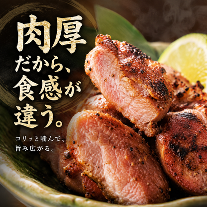 炭火砂ズリ塩焼