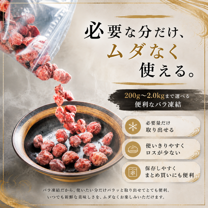 炭火砂ズリ塩焼