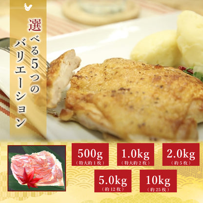 阿波尾鶏 もも肉