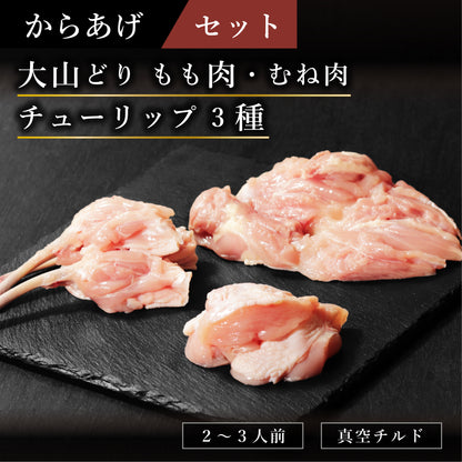 唐揚げセット