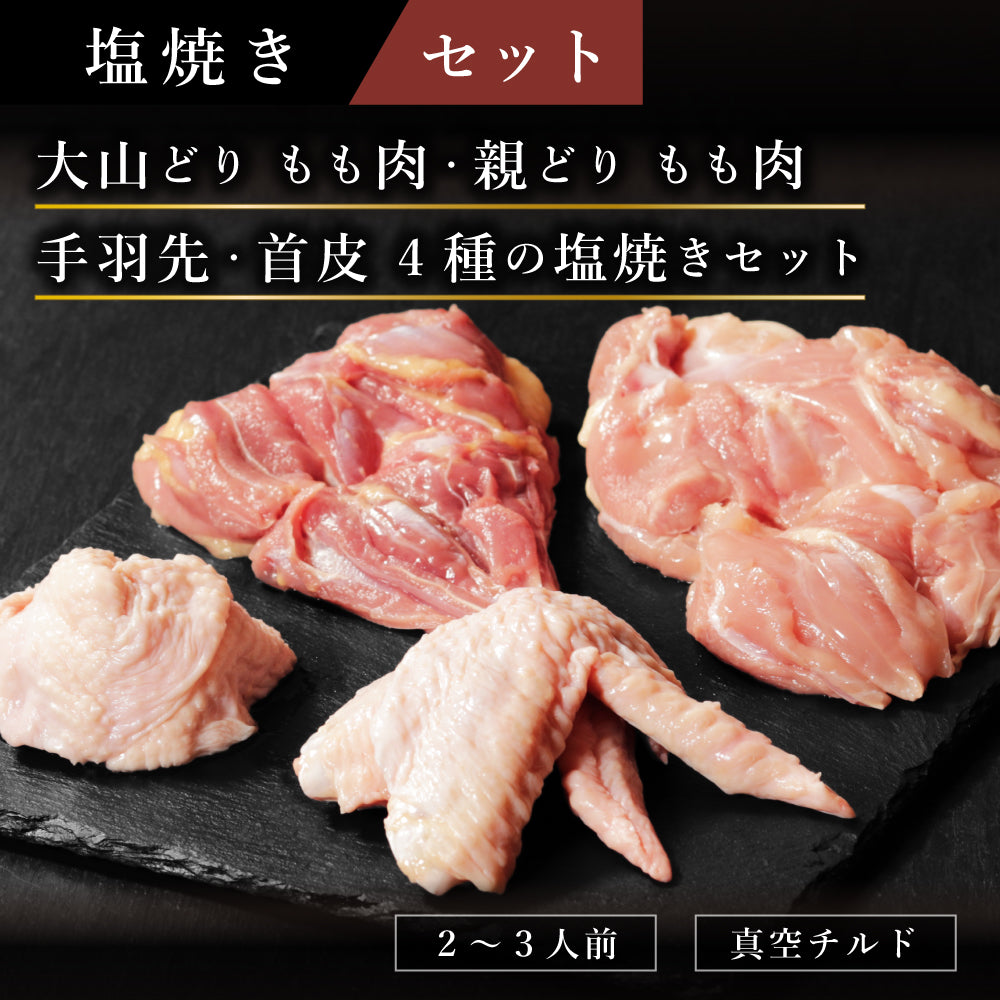 塩焼きセット
