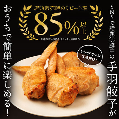 自家製 手羽餃子