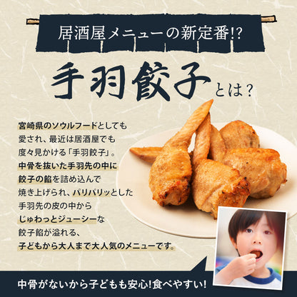 自家製 手羽餃子