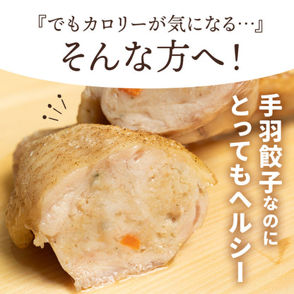自家製 手羽餃子