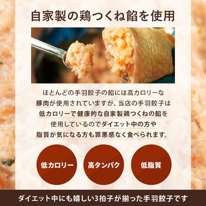 自家製 手羽餃子