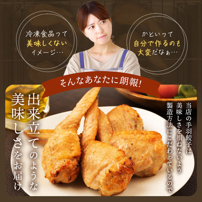 自家製 手羽餃子