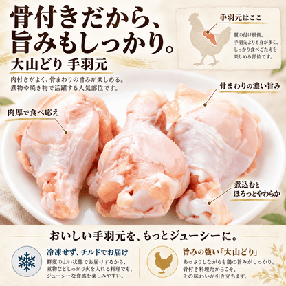 大山どり 手羽元