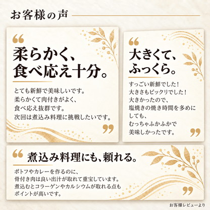 大山どり 手羽元