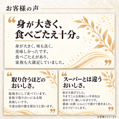 大山どり 手羽先