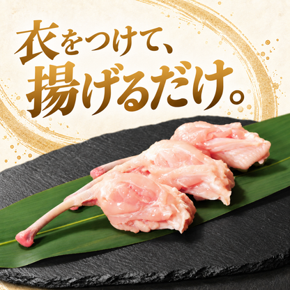 大山どり チューリップ